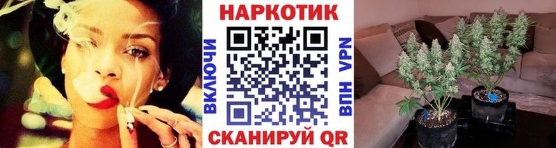 Где продают наркотики Елизаветинская Бошки Шишки СОЛЬ АМФ Мефедрон Гашиш