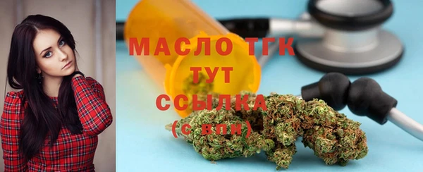 мет Новозыбков