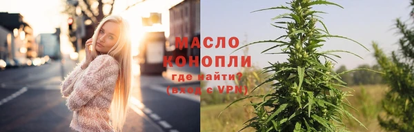 мет Новозыбков