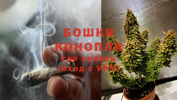 a pvp Новодвинск