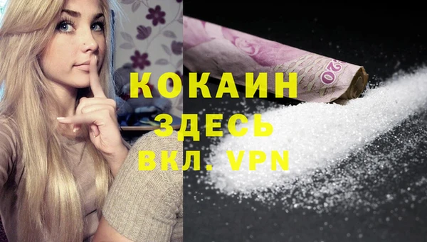 мет Новозыбков