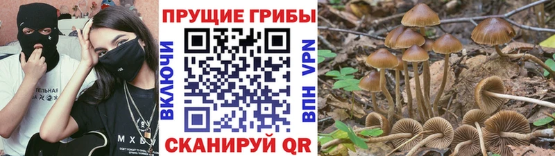 Галлюциногенные грибы мицелий  Елизаветинская 