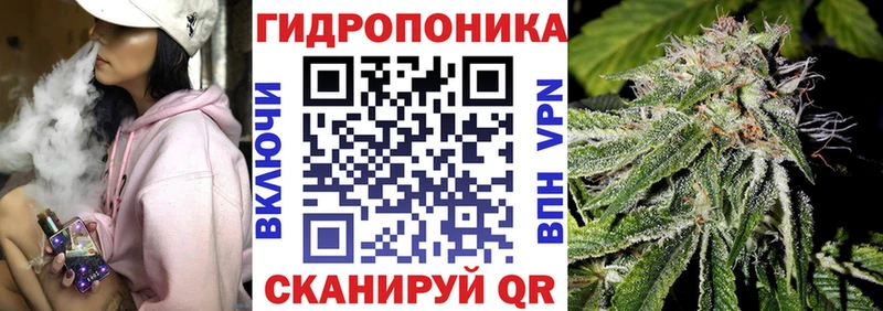 мега как войти  Елизаветинская  Марихуана SATIVA & INDICA 